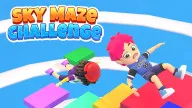 Sky Maze Challenge